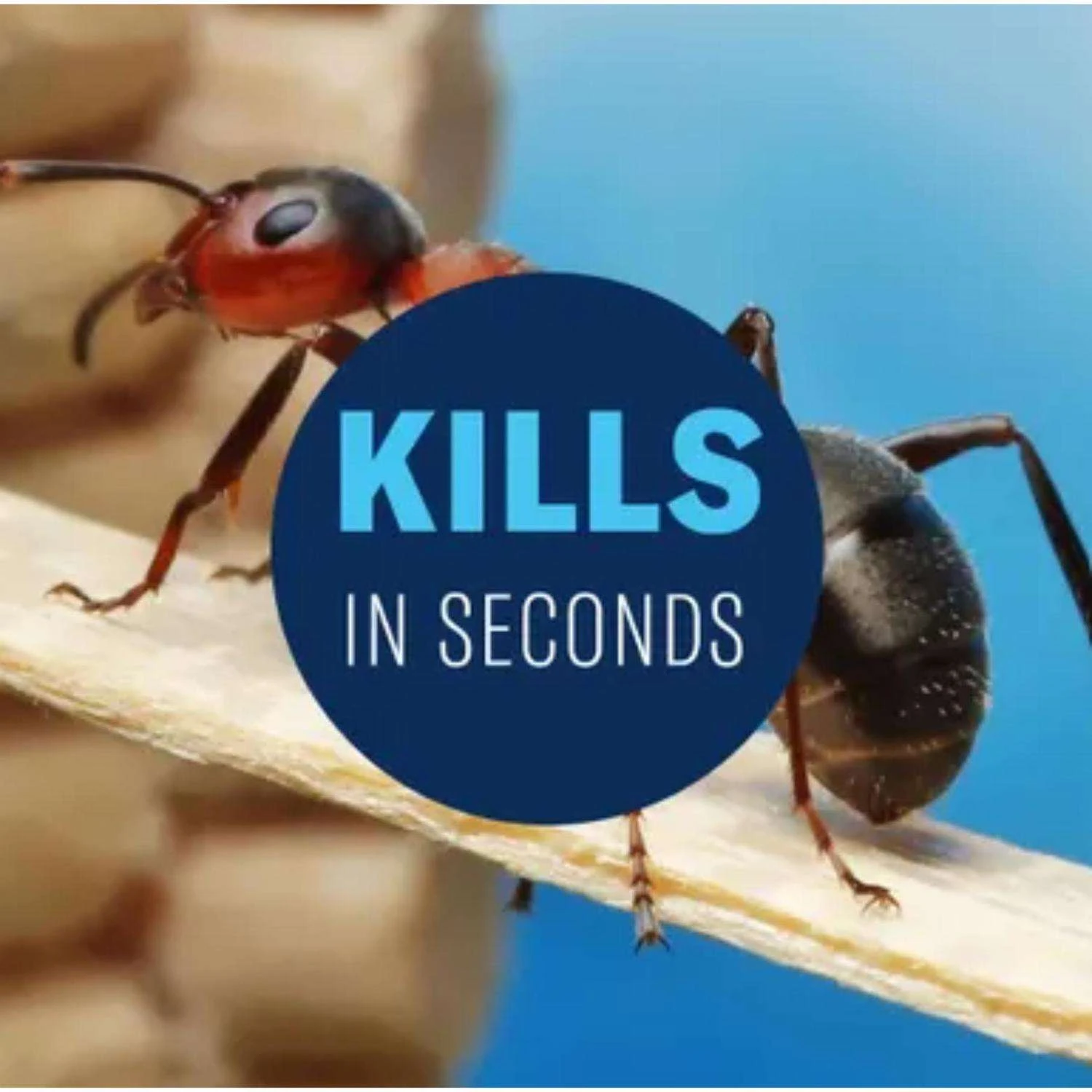 BioAdvanced Insect Killer Liquid 1 Gal 3 BioAdvanced Insect Killer Liquid 1 Gal - Image 3