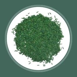 Pennington Kentucky 31 Tall Fescue Grass Sun Or Shade Grass Seed 20 Lb -Roundup Hub a2fa8047 a401 4429 a8f3 75dab5e60bf5