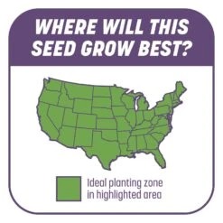 Pennington Smart Patch Mixed Dense Shade Seed/Fertilizer/Mulch Repair Kit 10 Lb -Roundup Hub a3b9d0f9 7210 405e ba8c 6da9cdb4acaa