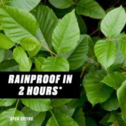 Ortho GroundClear Poison Ivy Killer Concentrate 32 Oz -Roundup Hub a4cd5d8f 8b17 4349 a370 f0004274843b