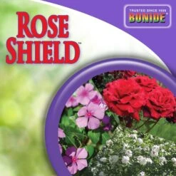 Bonide Rose Shield 3 In 1 Garden Insect Spray Liquid 1 Gal 15 Bonide Rose Shield 3 In 1 Garden Insect Spray Liquid 1 Gal -Roundup Hub a85fb091 2a94 4ce5 bff5 949174baf127