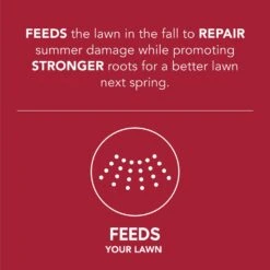 Scotts Turf Builder WinterGuard Fall Lawn Fertilizer For All Grasses 5000 Sq Ft -Roundup Hub a8fe4052 ca92 40ce bf3f 004fdf2a9f61