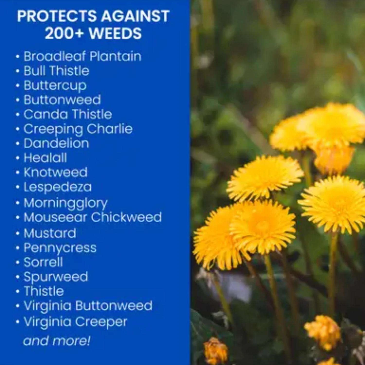 BioAdvanced Weed Killer Concentrate 29 Oz 2 BioAdvanced Weed Killer Concentrate 29 Oz - Image 2