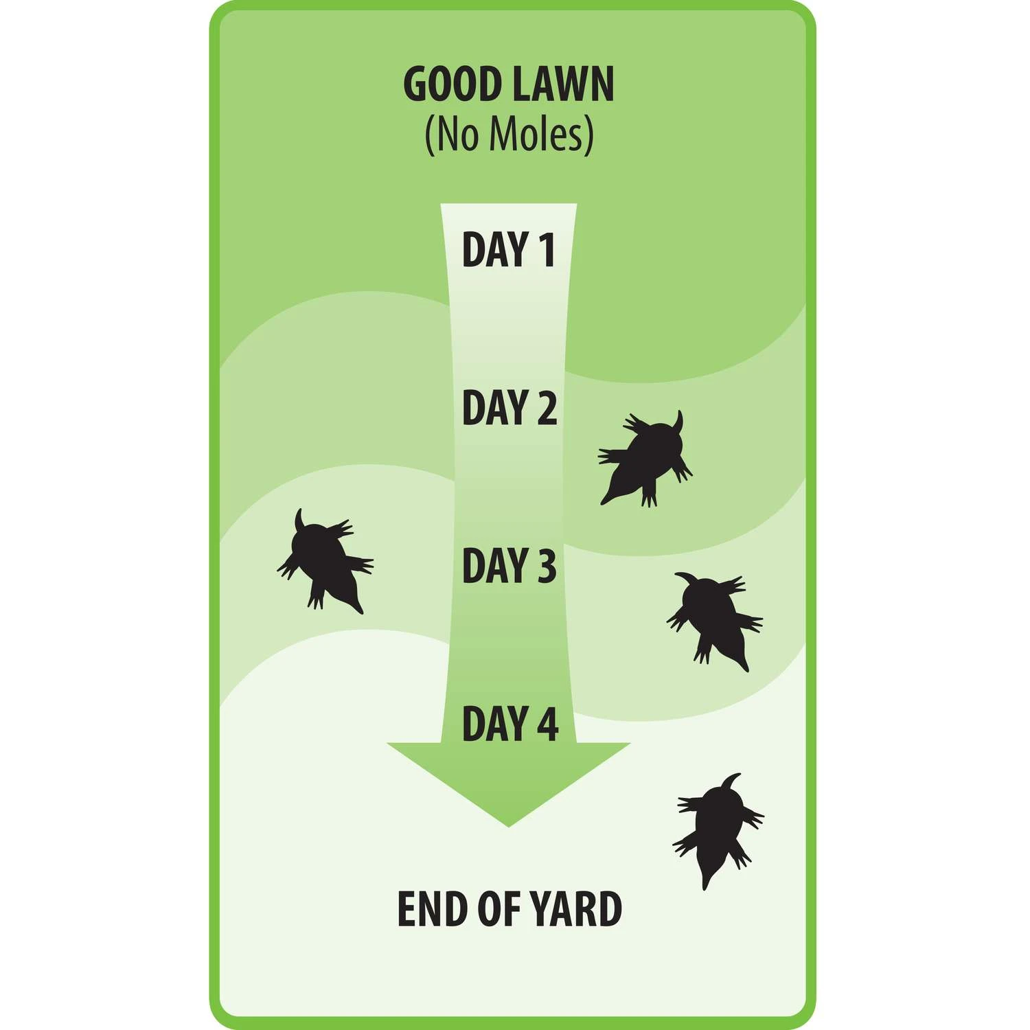 Victor Dual Action Animal Repellent Granules For Gophers And Moles 10 Lb 5 Victor Dual Action Animal Repellent Granules For Gophers And Moles 10 Lb - Image 5