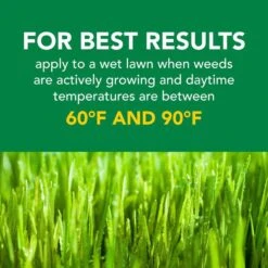 Scotts Turf Builder Weed & Feed Lawn Fertilizer For Multiple Grass Types 15000 Sq Ft -Roundup Hub ab9b66c4 ae40 4812 aece aa8f2db7d995