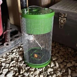 Billy Bob Multiple Catch Cage Trap For Mice 1 Pk -Roundup Hub ac98ebc8 c8c5 4213 994b 9e5ff93c2e69