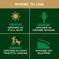 Scotts EZ Seed Mixed Sun Or Shade Grass Spot Repair Seed 20 Lb -Roundup Hub ad7ad753 1a41 45b7 b131 6a3220c8e395