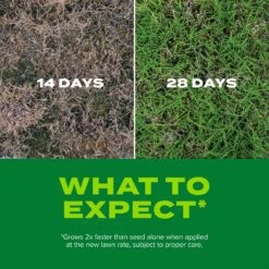Scotts Turf Builder Rapid Grass Bermuda Grass Sun Or Shade Grass Seed And Fertilizer 8 Lb -Roundup Hub aef7da9e 66ff 4946 87b8 1cac029ed2f3