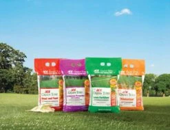 Ace 4 Step Annual Program Lawn Fertilizer For All Grasses 5000 Sq Ft -Roundup Hub b5853425 09f3 4ca3 b910 652ff845c0bd