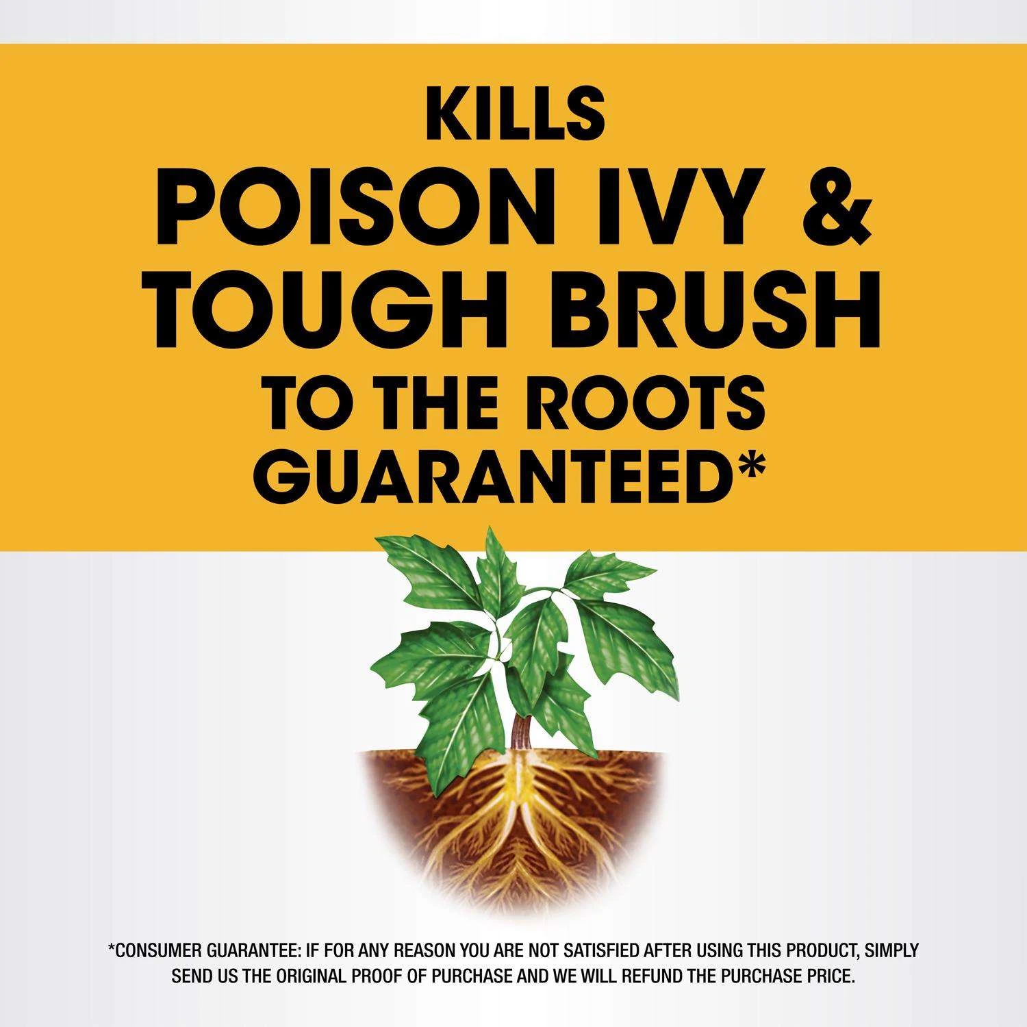 Roundup Poison Ivy Killer Concentrate 32 Oz 2 Roundup Poison Ivy Killer Concentrate 32 Oz - Image 2
