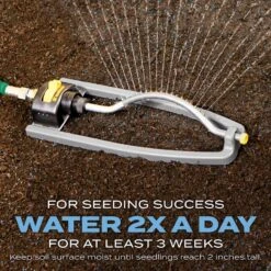 Scotts Turf Builder Kentucky Bluegrass Sun Or Shade Fertilizer/Seed/Soil Improver 2.4 Lb 16 Scotts Turf Builder Kentucky Bluegrass Sun Or Shade Fertilizer/Seed/Soil Improver 2.4 Lb -Roundup Hub b7e02096 dd7f 4e97 b567 c992853d54aa