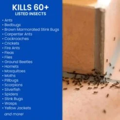 Roundup Hub -Roundup Hub b8047b82 f484 4952 909b 34bc4d4ee674