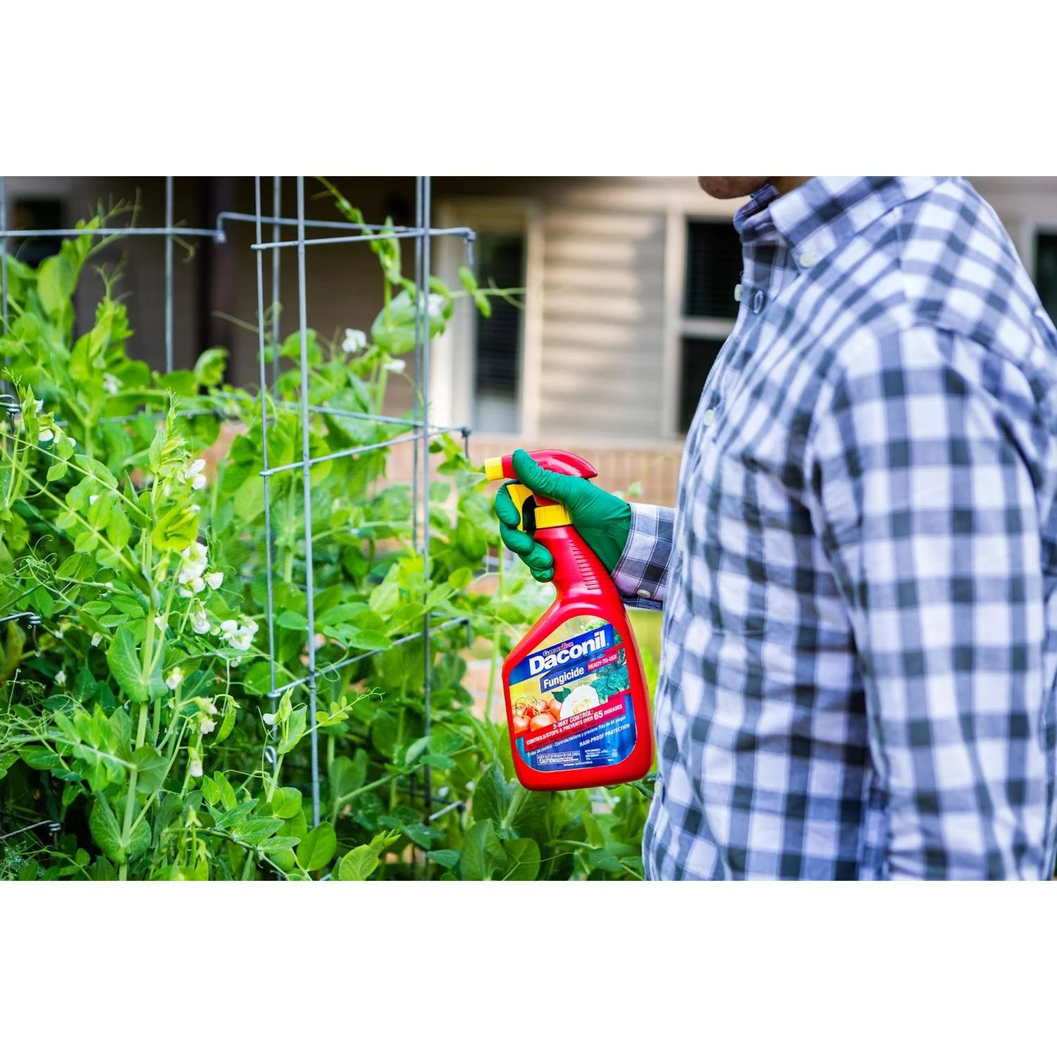 GardenTech Daconil Liquid Fungicide 32 Oz 3 GardenTech Daconil Liquid Fungicide 32 Oz - Image 3