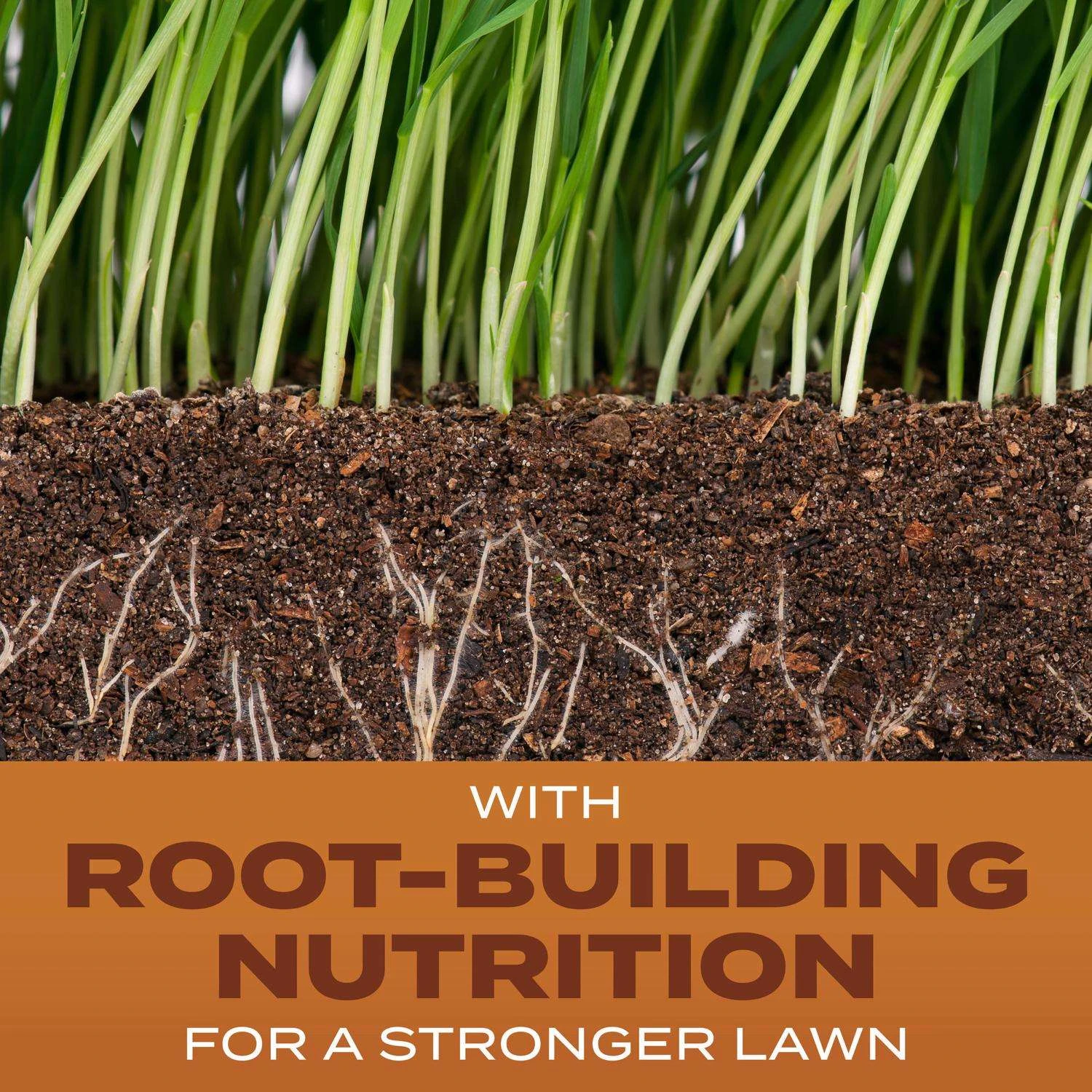 Scotts Turf Builder High Traffic Sun Or Shade Fertilizer/Seed/Soil Improver 5.6 Lb 2 Scotts Turf Builder High Traffic Sun Or Shade Fertilizer/Seed/Soil Improver 5.6 Lb - Image 2