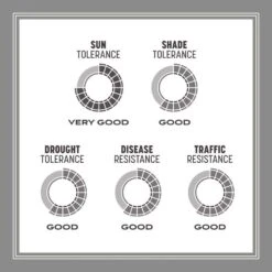 Pennington Contractors Mix Sun Or Shade Grass Seed 7 Lb -Roundup Hub be33e4f9 07e9 48b5 9e9e e1d89c2a9114