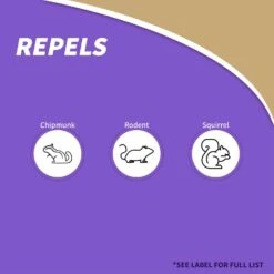 Bonide Animal Repellent Liquid For Chipmunks And Squirrels 32 Oz -Roundup Hub be6cf928 81bc 4376 9279 a024eb1cfda1