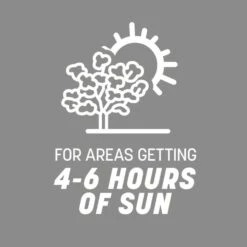 Pennington Contractors Mix Sun Or Shade Grass Seed 7 Lb -Roundup Hub bf5e235c 356f 48db 80ed 34ce391cef0f