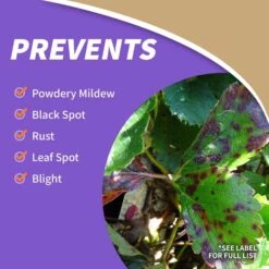 Bonide Orchard Spray Concentrated Liquid Disease Control 32 Oz -Roundup Hub c001736e adbd 4939 81f6 1a47ab6f83e6