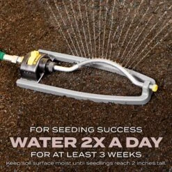 Scotts Turf Builder Mixed Full Sun Fertilizer/Seed/Soil Improver 2.4 Lb -Roundup Hub c1fe0606 158e 432f 85a6 b22cf8e6d003