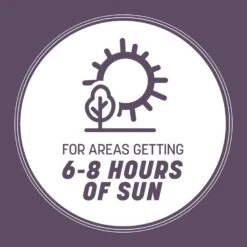 Pennington Annual Ryegrass Sun Or Shade Grass Seed 25 Lb 10 Pennington Annual Ryegrass Sun Or Shade Grass Seed 25 Lb -Roundup Hub c4f5672a 2251 4b15 b833 4792d517f01e