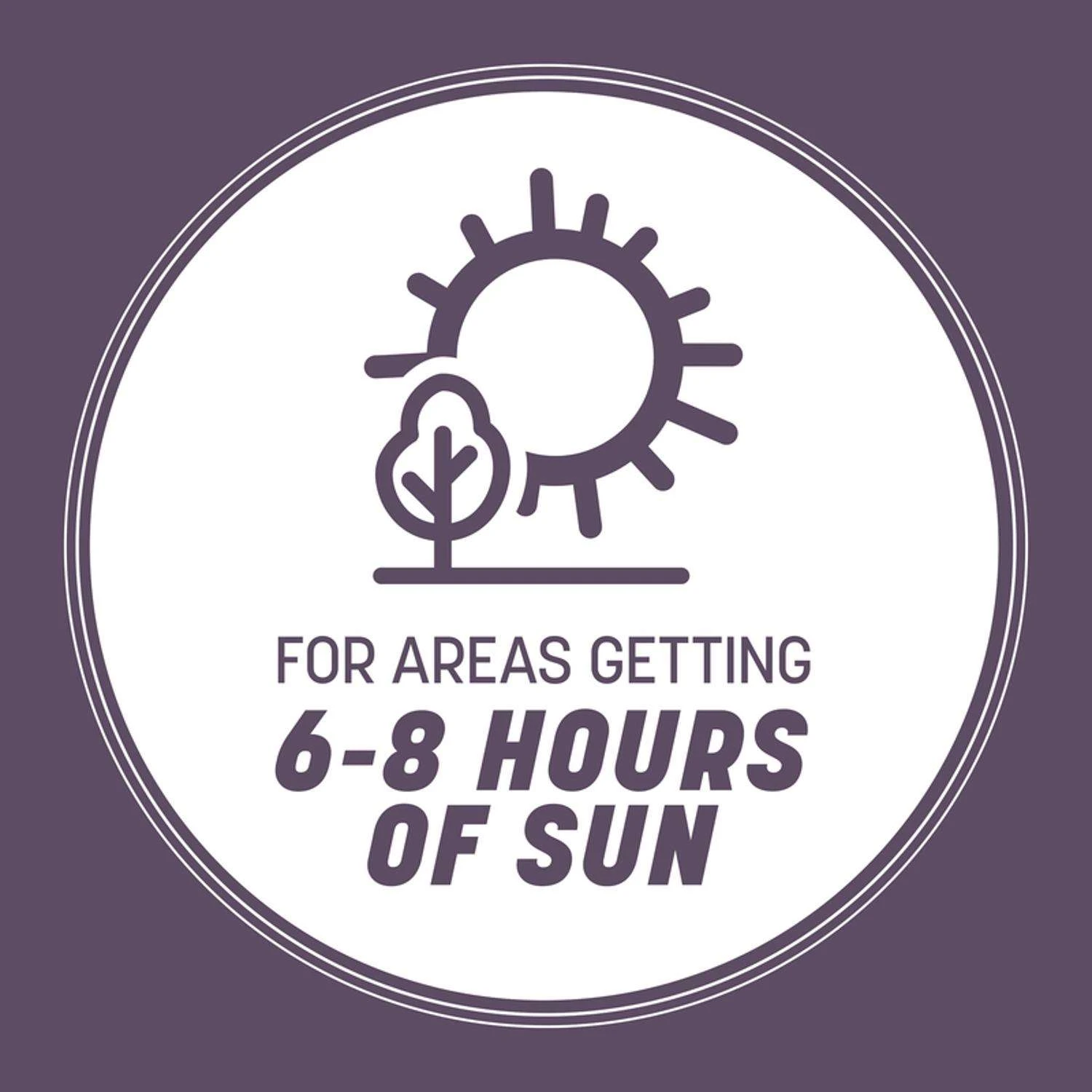 Pennington Annual Ryegrass Sun Or Shade Grass Seed 25 Lb 4 Pennington Annual Ryegrass Sun Or Shade Grass Seed 25 Lb - Image 4