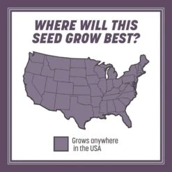 Pennington Annual Ryegrass Full Sun/Light Shade Grass Seed 50 Lb 18 Pennington Annual Ryegrass Full Sun/Light Shade Grass Seed 50 Lb -Roundup Hub c57d920f b837 4d25 b5d9 5e4402a2f0cf