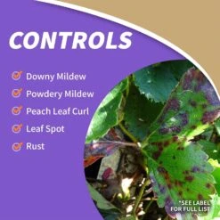 Bonide Concentrated Liquid Disease And Fungicide Control 16 Oz -Roundup Hub cad2b580 72b0 45ac 8976 c67be886dbc4