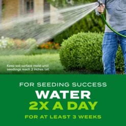 Scotts Turf Builder Rapid Grass Tall Fescue Grass Sun Or Shade Grass Seed And Fertilizer 16 Lb -Roundup Hub cb848484 3e67 4bc6 9945 dda8e6992ba9