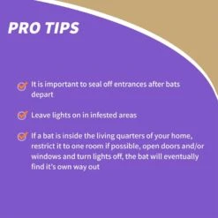 Bonide Bat Magic Animal Repellent Granules For Bats 2 Oz -Roundup Hub d07e4ef5 b15d 4a93 ab8c a7a675298075