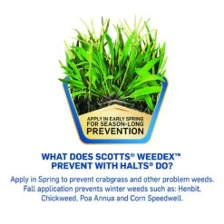 Scotts WeedEx Prevent With Halts Weed Preventer Granules 10 Lb -Roundup Hub d279af0e 9b1c 484b 84b6 2724e4844620