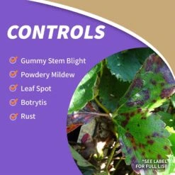 Bonide All Seasons Organic Horticultural Spray Oil Liquid Concentrate 32 Oz -Roundup Hub d32f7753 f35f 4c8c 94c2 9df69727298a