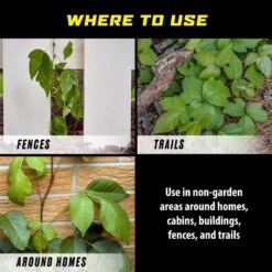 Ortho GroundClear Poison Ivy Killer Concentrate 32 Oz -Roundup Hub d601a79d a68f 458c a854 d6de80a5f096