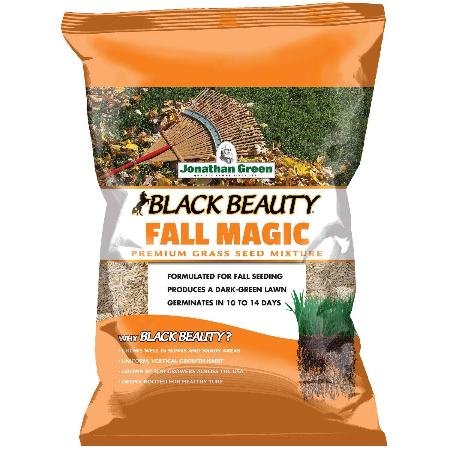 Jonathan Green Black Beauty Fall Magic All Grasses Sun Or Shade Grass Seed 25 Lb 1 Jonathan Green Black Beauty Fall Magic All Grasses Sun Or Shade Grass Seed 25 Lb