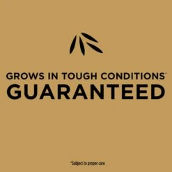 Scotts EZ Seed Bermuda Grass Sun Or Shade Grass Spot Repair Seed 20 Lb -Roundup Hub da50a3bc 3143 4d37 8e9f f971e23773f6