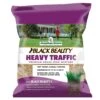 Jonathan Green Black Beauty Heavy Traffic Mixed Full Sun/Medium Shade Grass Seed 7 Lb