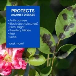 BioAdvanced Insect, Disease & Mite Control Liquid Concentrate 32 Oz -Roundup Hub dd62cd76 1676 4fd2 b158 4d8181153da3