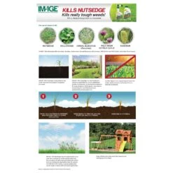 Lilly Miller Image Nutsedge Killer RTS Hose-End Concentrate 32 Oz -Roundup Hub dde7e520 f2e2 440a 9098 3c7b36ba0510