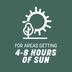 Pennington Kentucky 31 Tall Fescue Grass Sun Or Shade Grass Seed 20 Lb -Roundup Hub ddfd5a80 634e 4aab 8705 39a2b056ccbc