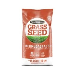 Pennington Bermuda Grass Full Sun Grass Seed 15 Lb