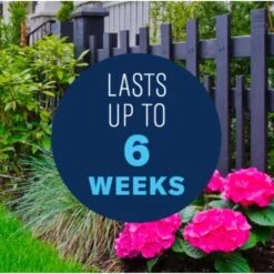 BioAdvanced 3 In 1 Garden Insect Spray Concentrate 32 Oz -Roundup Hub e529771c 2807 4d1e a46e 6f15589d3a69