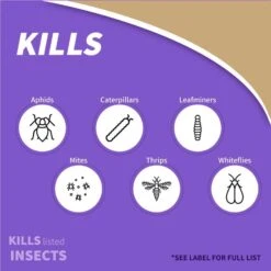 Bonide All Seasons Organic Horticultural Spray Oil Liquid Concentrate 16 Oz -Roundup Hub e612e6d3 8dd8 4a2f b7cd 4912ae20505d