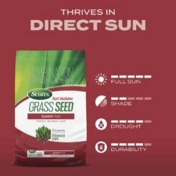 Scotts Turf Builder Mixed Full Sun Fertilizer/Seed/Soil Improver 2.4 Lb -Roundup Hub e6e85930 56e0 46f7 9f47 505fff3de0ec