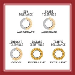 Pennington Smart Seed Perennial Ryegrass Sun Or Shade Grass Seed And Fertilizer 3 Lb 18 Pennington Smart Seed Perennial Ryegrass Sun Or Shade Grass Seed And Fertilizer 3 Lb -Roundup Hub ea25bb1d 4fd5 46be 88ad 961deb79b726