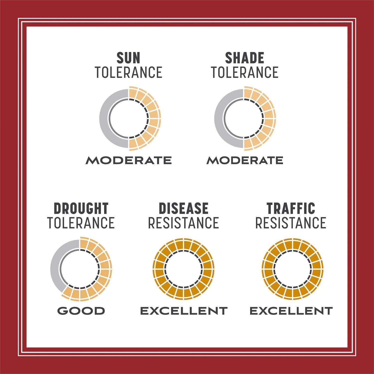 Pennington Smart Seed Perennial Ryegrass Sun Or Shade Grass Seed And Fertilizer 3 Lb 9 Pennington Smart Seed Perennial Ryegrass Sun Or Shade Grass Seed And Fertilizer 3 Lb - Image 9