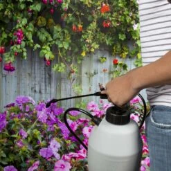 Spectracide Immunox Concentrated Liquid Garden Fungicide 16 Oz -Roundup Hub ebf5d511 fcac 4ac3 a9f3 11a0c88b4274