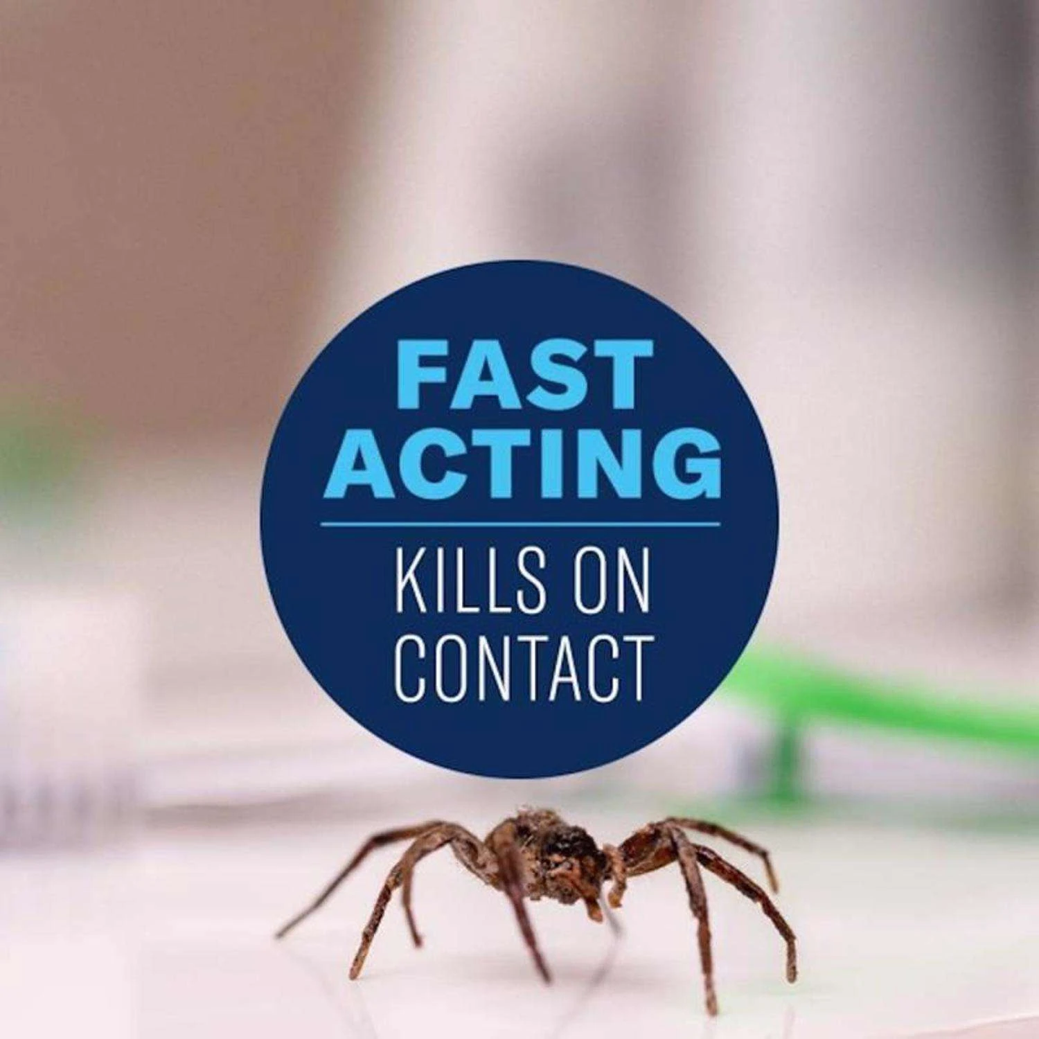 BioAdvanced Insect Killer Liquid 1.3 Gal 4 BioAdvanced Insect Killer Liquid 1.3 Gal - Image 4