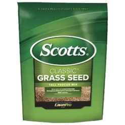 Scotts Classic Tall Fescue Grass Sun Or Shade Grass Seed 20 Lb