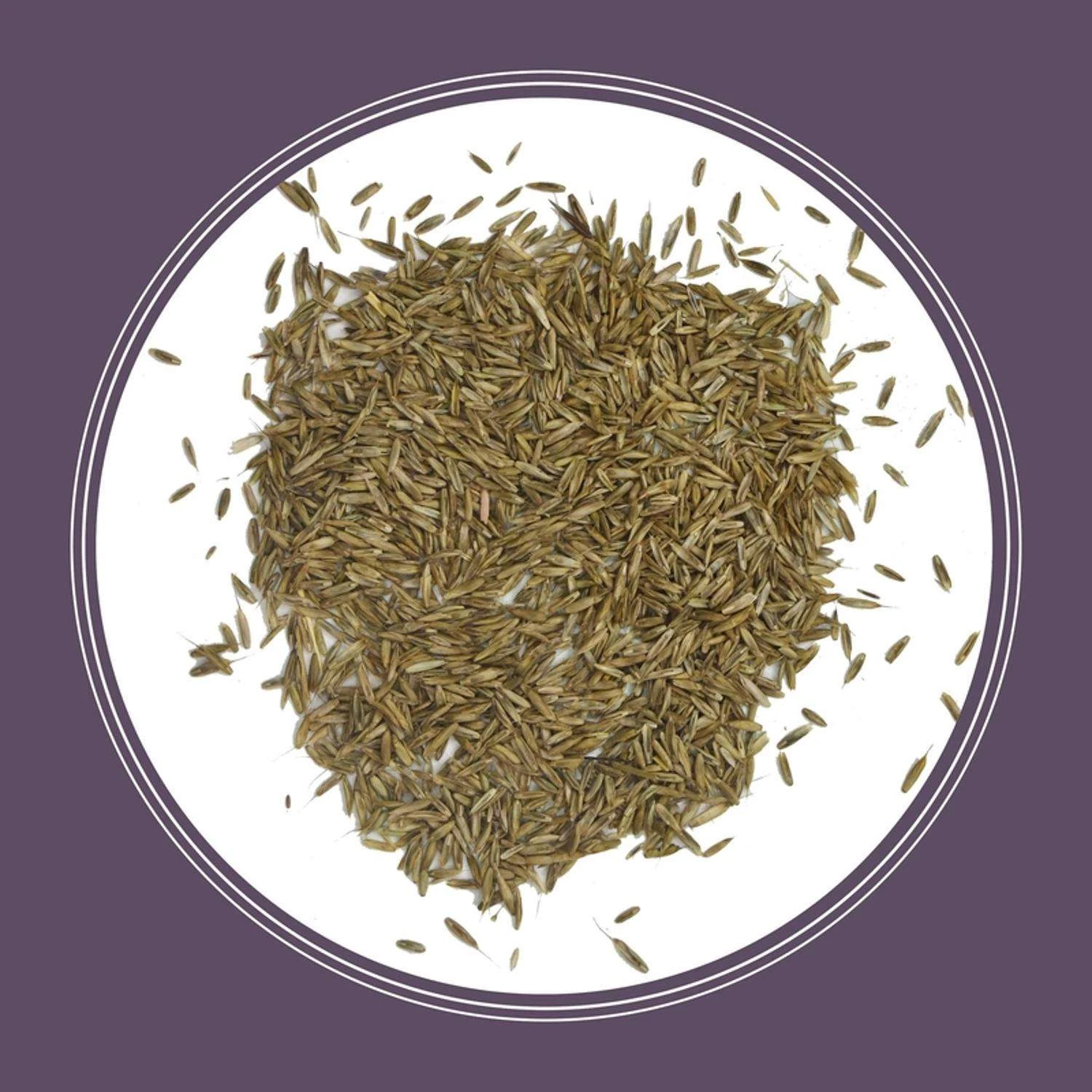 Pennington Annual Ryegrass Sun Or Shade Grass Seed 25 Lb 3 Pennington Annual Ryegrass Sun Or Shade Grass Seed 25 Lb - Image 3