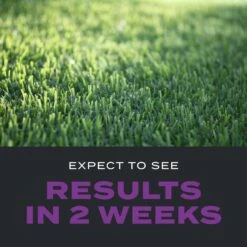 Scotts Turf Builder Southern Triple Action Weed & Feed Lawn Fertilizer For All Grasses 8000 Sq Ft -Roundup Hub eeb07f44 9b80 4215 9a66 029ccec80c3c