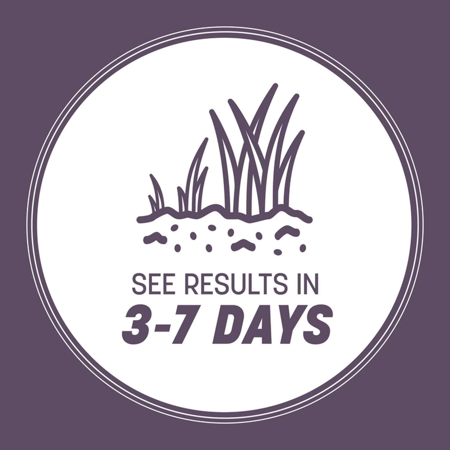 Pennington Annual Ryegrass Sun Or Shade Grass Seed 25 Lb 5 Pennington Annual Ryegrass Sun Or Shade Grass Seed 25 Lb - Image 5